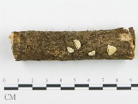 登錄號:F0004890藏品圖，第1張