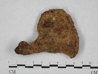 登錄號:F0004892藏品圖，第3張