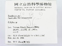 登錄號:F0004894藏品圖，第2張