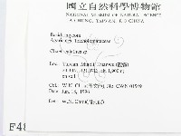 登錄號:F0004896藏品圖，第2張