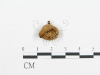 登錄號:F0004896藏品圖，第1張