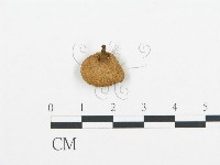 登錄號:F0004896藏品圖，第3張