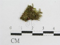 登錄號:F0004897藏品圖，第1張