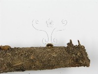 登錄號:F0004898藏品圖，第5張