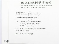 登錄號:F0004899藏品圖，第2張