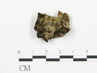 登錄號:F0004899藏品圖，第1張