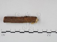 登錄號:F0004901藏品圖，第3張