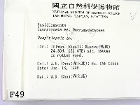 登錄號:F0004902藏品圖，第2張