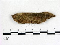 登錄號:F0004902藏品圖，第1張