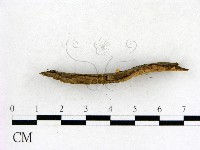 登錄號:F0004902藏品圖，第3張