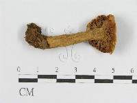 登錄號:F0004903藏品圖，第1張