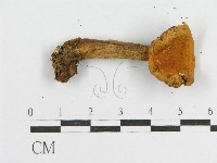 登錄號:F0004903藏品圖，第3張