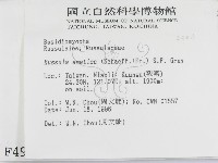 登錄號:F0004904藏品圖，第2張