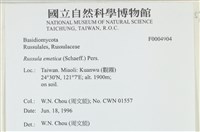 登錄號:F0004904藏品圖，第4張