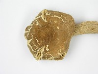 登錄號:F0004905藏品圖，第5張