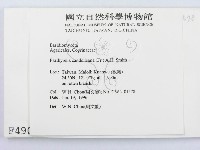 登錄號:F0004907藏品圖，第2張