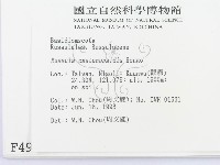 登錄號:F0004908藏品圖，第2張