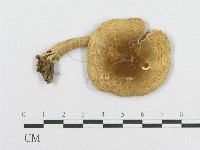 登錄號:F0004908藏品圖，第3張