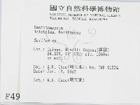 登錄號:F0004911藏品圖，第2張