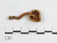 登錄號:F0004911藏品圖，第3張