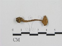 登錄號:F0004914藏品圖，第3張