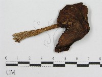 登錄號:F0004915藏品圖，第3張