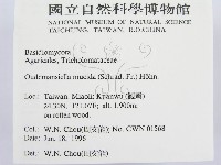 登錄號:F0004916藏品圖，第2張