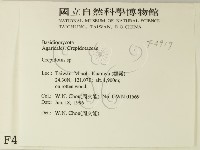 登錄號:F0004917藏品圖，第2張