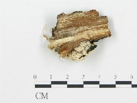 登錄號:F0004919藏品圖，第3張