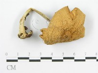 登錄號:F0004920藏品圖，第3張