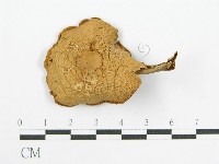 登錄號:F0004920藏品圖，第5張