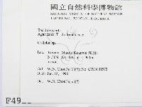 登錄號:F0004921藏品圖，第2張