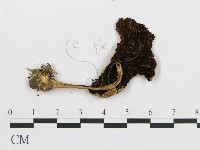 登錄號:F0004923藏品圖，第3張