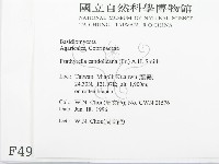 登錄號:F0004924藏品圖，第2張