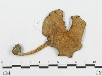 登錄號:F0004924藏品圖，第3張