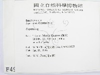 鬼傘屬藏品圖，第2張