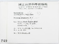 登錄號:F0004929藏品圖，第2張