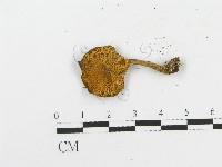 登錄號:F0004930藏品圖，第3張