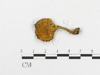 登錄號:F0004930藏品圖，第4張