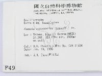 登錄號:F0004931藏品圖，第2張