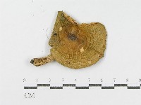 登錄號:F0004931藏品圖，第3張