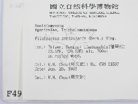 登錄號:F0004934藏品圖，第2張