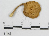 登錄號:F0004934藏品圖，第1張