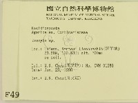 登錄號:F0004936藏品圖，第2張