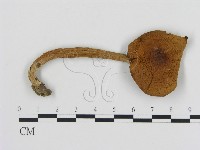 登錄號:F0004936藏品圖，第1張