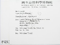 登錄號:F0004938藏品圖，第2張