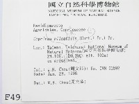 登錄號:F0004939藏品圖，第2張