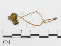 登錄號:F0004939藏品圖，第3張