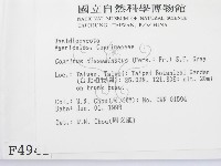 登錄號:F0004941藏品圖，第2張