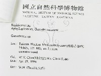 登錄號:F0004942藏品圖，第3張